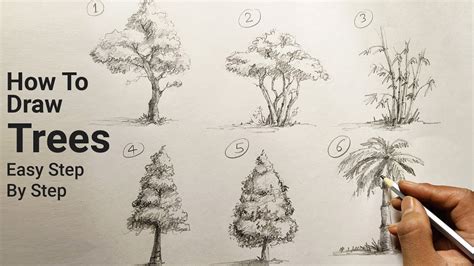How TO Draw trees step by step easy/different type of .